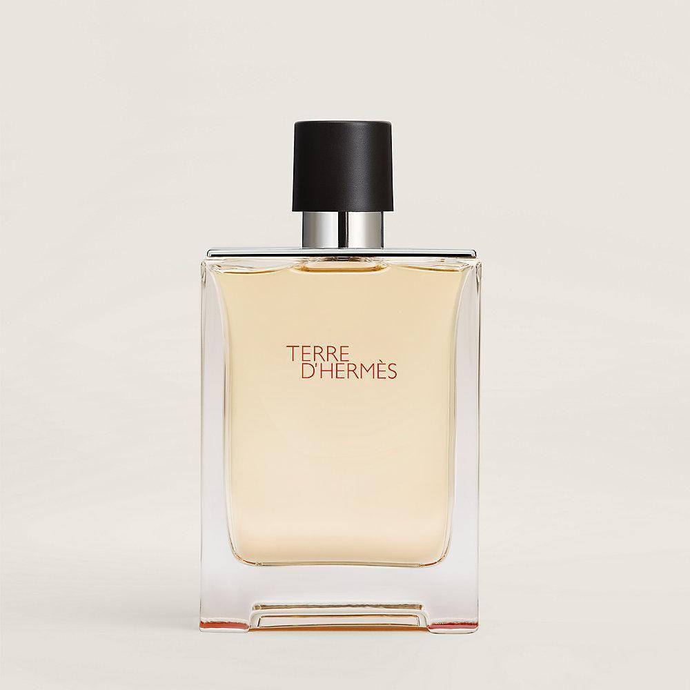 Terre D' Hermes Edt 100Ml Perfume Masculino - Perfume