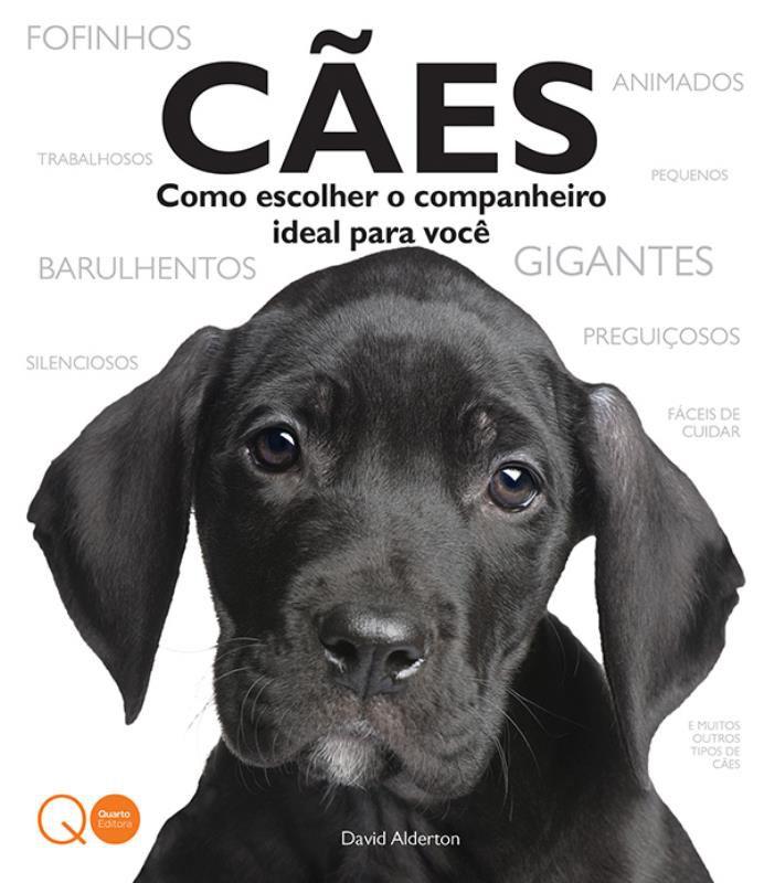 Cães : Como escolher o companheiro ideal para você