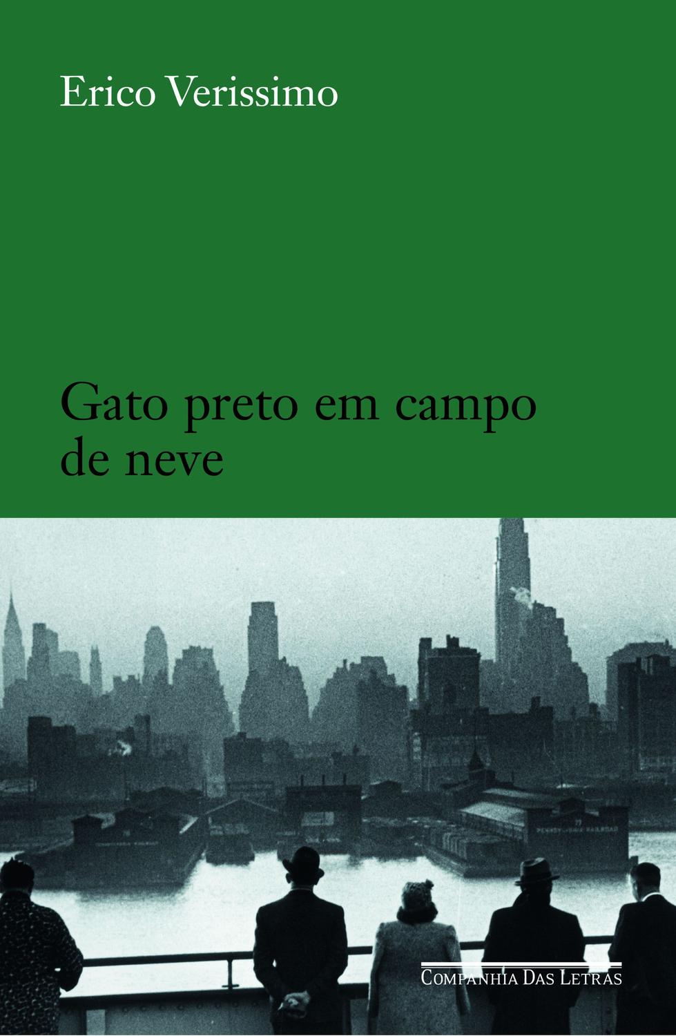 Gato preto em campo de neve
