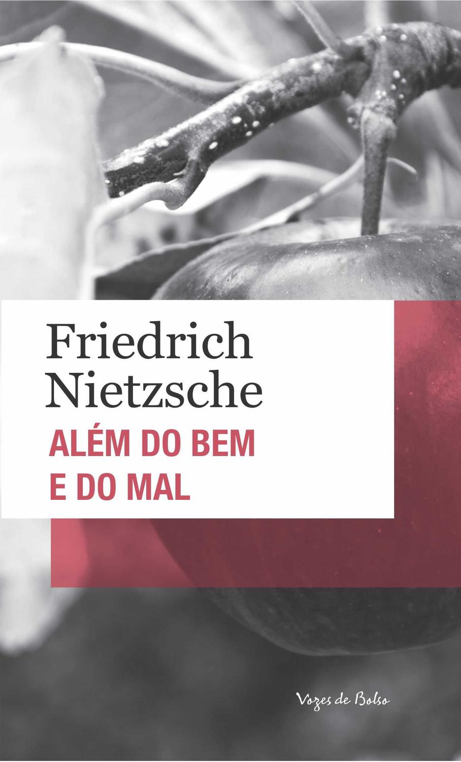 Além do bem e do mal - Edição de Bolso