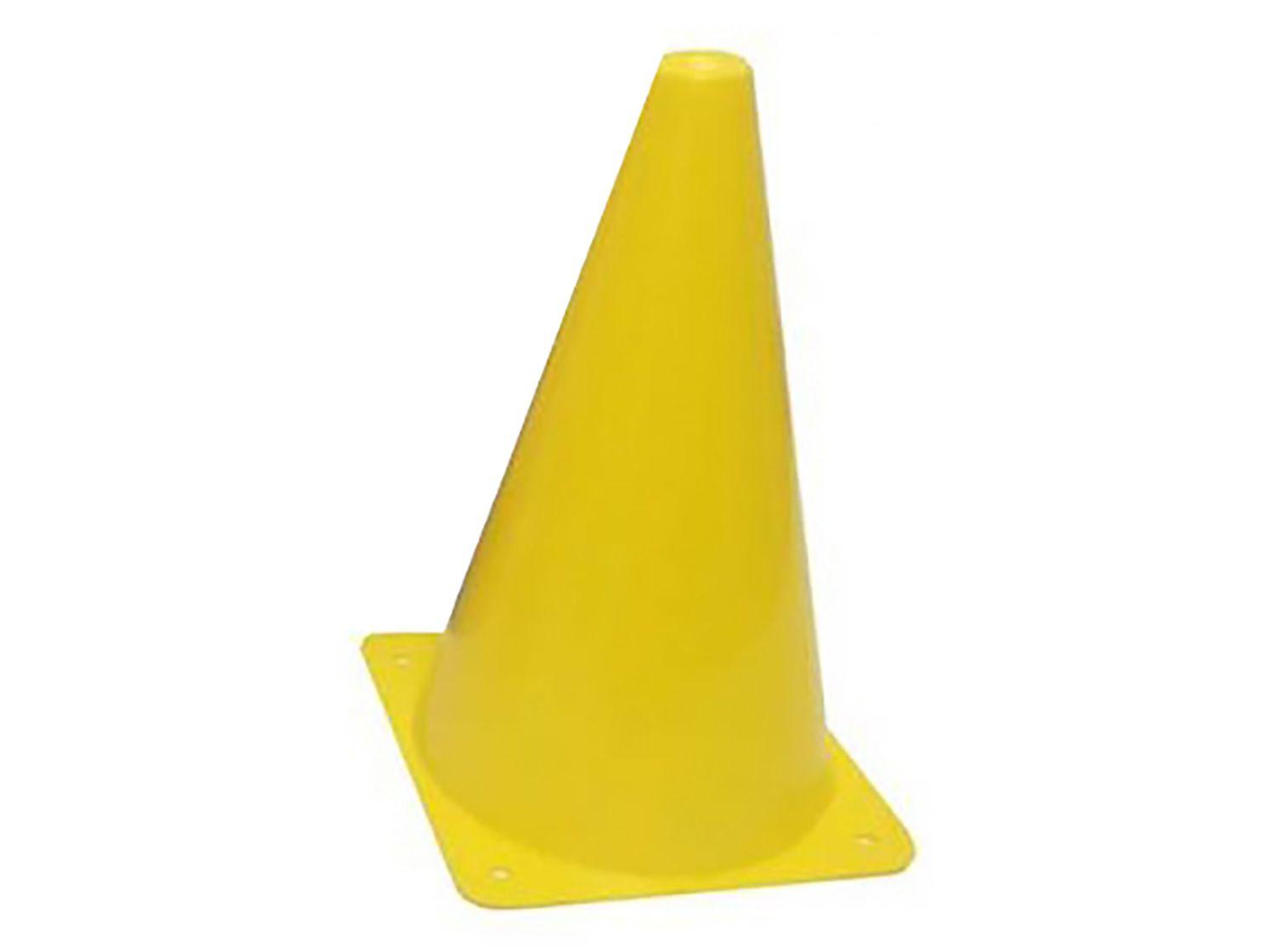 Cone Demarcatório Pangué 558