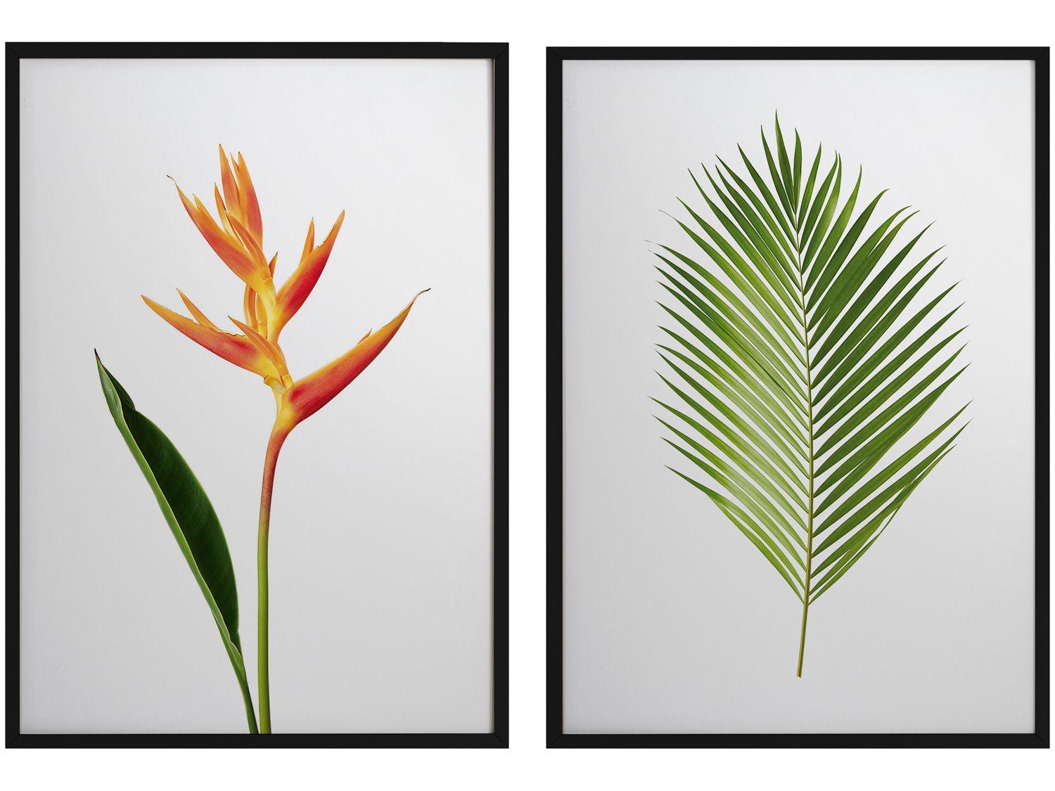 Quadro Decorativo Folhagens Flor e Folha 35x47cm - Design Up Living 2 Peças