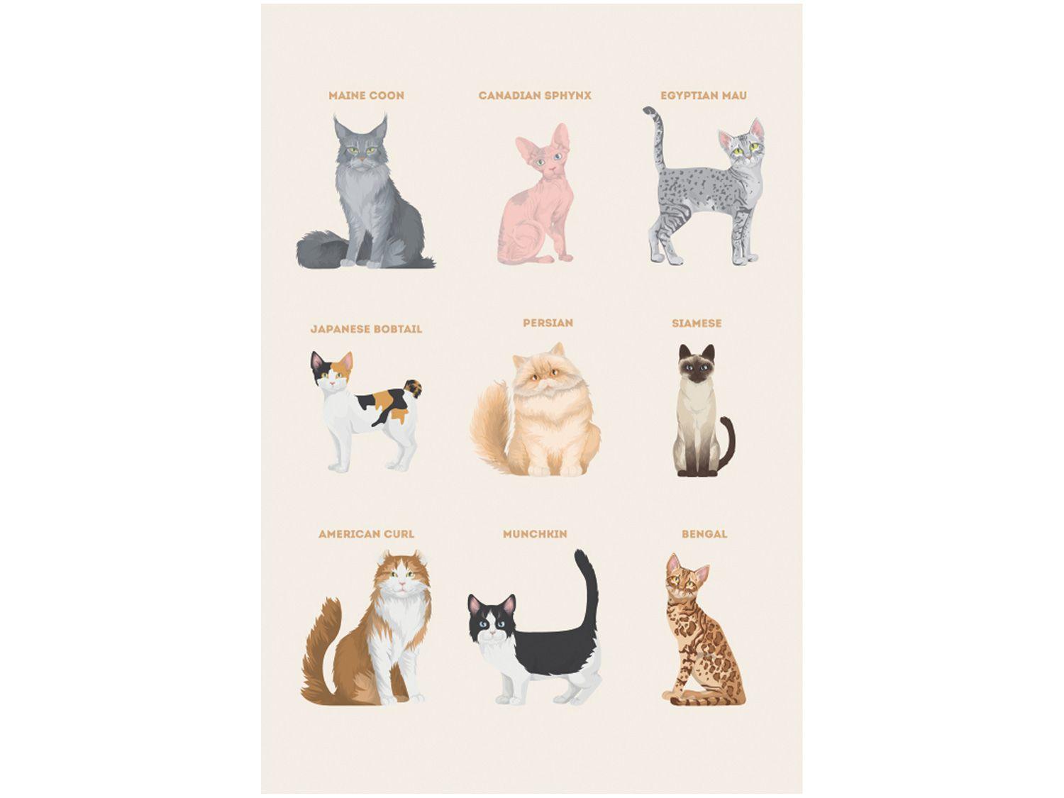 Placa Decorativa MDF Pet Lovers Gatos 20x29cm - Design Up Living