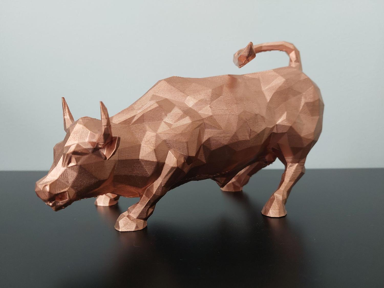 poly bolsa printing design