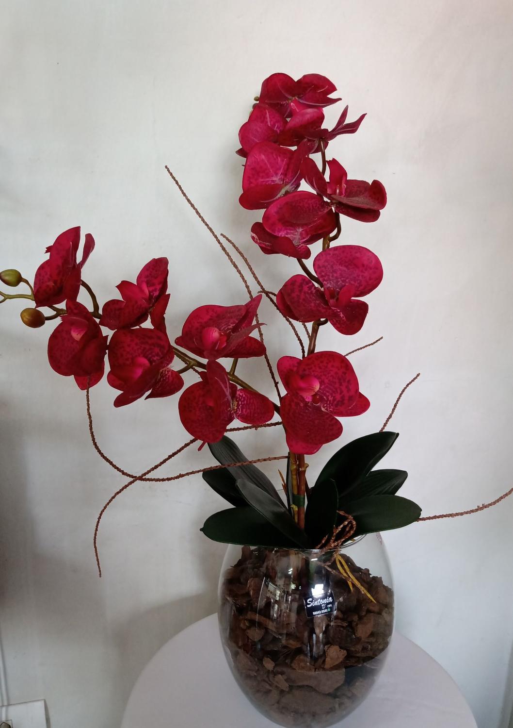 Vaso de cerâmica com arranjo de orquídeas vermelhas. - Sintonia D'cor -  Vasos para Plantas - Magazine Luiza
