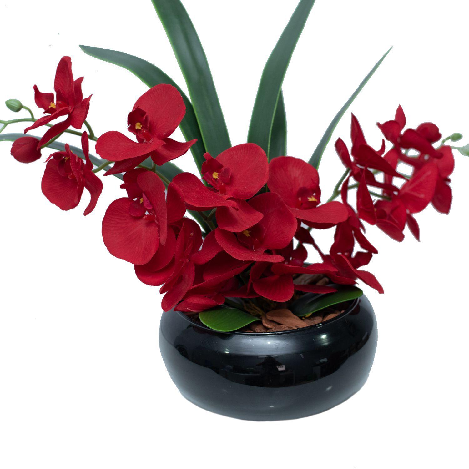 Vaso preto com 2 orquideas vermelhas - Momentos - Vasos para Plantas -  Magazine Luiza