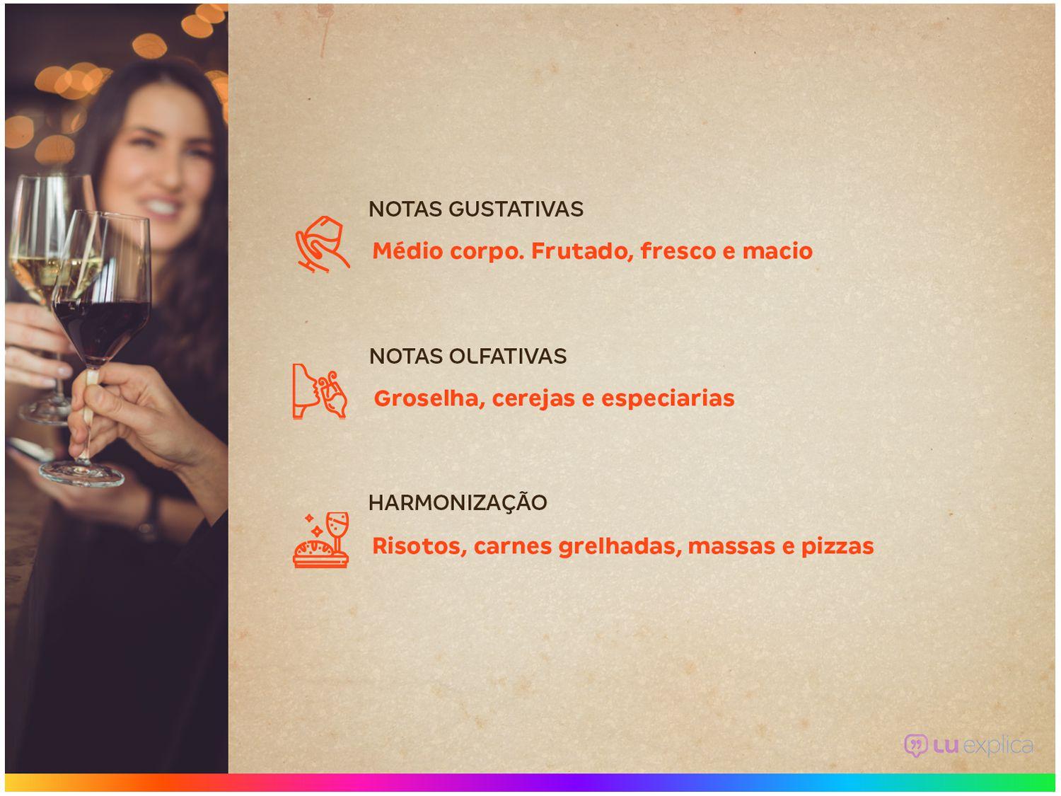 Vinho Tinto Seco Gato Negro Malbec