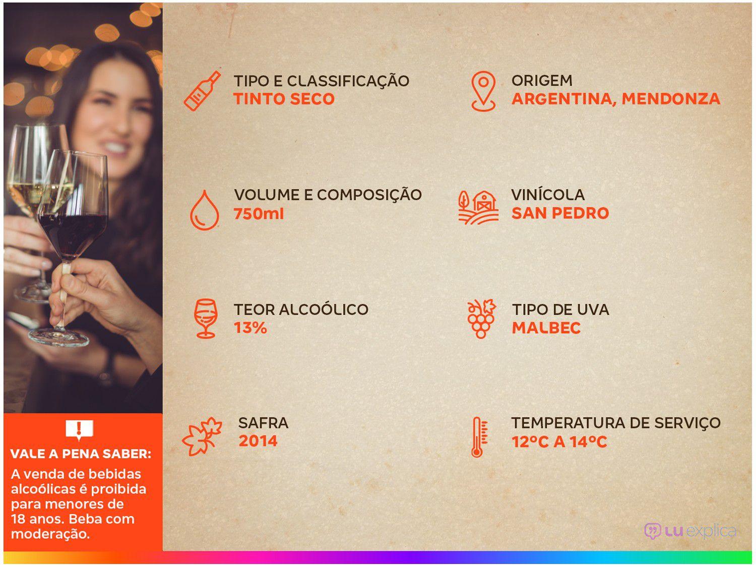 Vinho Tinto Seco Gato Negro Malbec