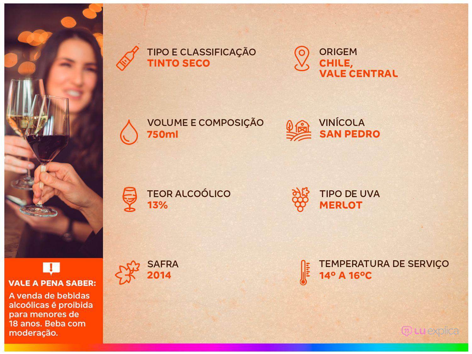 Vinho Tinto Seco Gato Negro Merlot