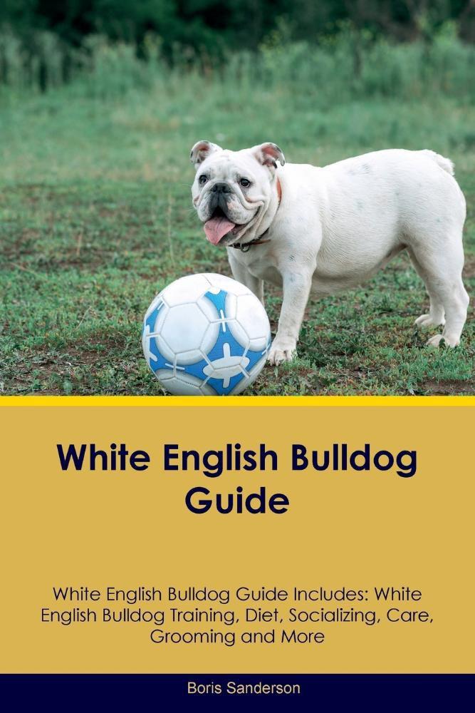 How To Fly With English Bulldog