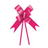 10 Laços Gravata Embalagem Presente Fita 12Mm Lis. Pink - Cromus