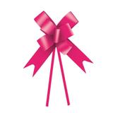 10 Laços Gravata Embalagem Presente Fita 23Mm Lis. Pink - Cromus