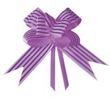 10 Laços Gravata Embalagem Presente Fita 30Mm Listra Lilas - Cromus