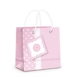 10 Mini Sacolas Para Presente Baby Rosa Festas - Cromus