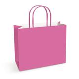 10 Sacolas Lembrancinha Presente Papel Liso Rosa M Festa - Cromus