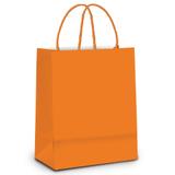 10 Sacolas Lembrancinhas Presentes Liso Laranja G Festa - Cromus