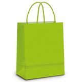 10 Sacolas Lembrancinhas Presentes Liso Verde Pqn Festa - Cromus