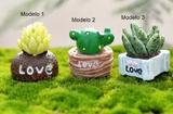 2 Enfeites Vaso Com Plantas Em Miniaturas Terrário Decoração - Impt