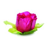 24 Forminhas Doce Tulipa Pink Decoração Festas - Cromus