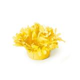 40 Forminhas Doce Bala de Coco Amarelo Dec. Festas - Cromus