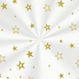 50 Sacos Poli Transp. 10X14Cm Estrela Ouro - Cromus