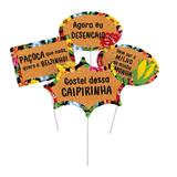 8 Plaquinhas Divertidas Papel Especial Festa Junina Arraial - Cromus