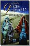 9 meses com maria - ave maria