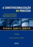 A Constitucionalização Do Processo