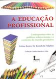 A Educação Profissional - Ícone