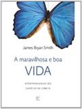A Maravilhosa e Boa Vida