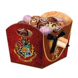 A2-Cachepot Harry Potter c/ 08 unidades - Festcolor