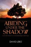 Abiding Under The Shadow - Holy fire publishing llc