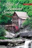 Affair at Boreland Springs - Convey ink