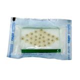 Agulha Auricular Esterilizada Com Micropore Cartela Com 25 Un - Complementar agulhas
