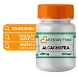 Alcachofra 250mg 60 Cápsulas - Extrato flora