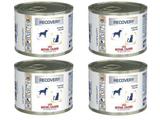 Alimento Úmido Recovery Para Cães E Gato Royal Canin 4 Latas