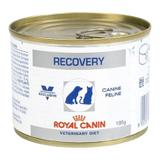 Alimento Úmido Recovery Royal Canin Cães Gatos 195g