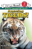 Amazing tigers! - Hco - harper usa