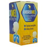 AmbroxMel 15mg 5ml sabor mel Cimed