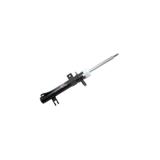 Amortecedor Dianteiro Ford Fiesta GP30231 Cofap