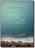 Ana flor da agua da terra - Iluminuras