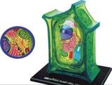 Anatomia da Célula Vegetal - 4d master