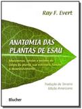 Anatomia das plantas de esau - Edgard blucher