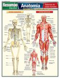 Anatomia - Sistemas do Corpo Humano - Barros fischer associados