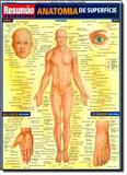 Anatomia superficial - Resumao