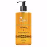 Aneethun Queen Geleia Real 480ml