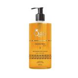 Aneethun Queen Geléria real 480ml