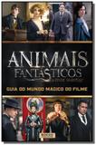 Animais fantasticos - guia mundo magico do filme - Rocco