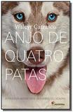 Anjo de quatro patas: a verdadeira amizade entre u - Moderna - paradidaticos