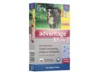 Anti Pulgas Advantage Max 3 Bayer mais de 25 Kg 3 pipetas